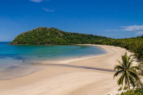 Daintree And Cape Tribulation Tour From Cairns - Accommodation Rockhampton 1