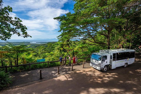 Daintree And Cape Tribulation Tour From Cairns - Accommodation Rockhampton 3