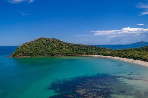 Daintree And Cape Tribulation Tour From Cairns - Accommodation Rockhampton 4
