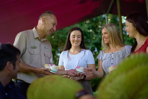 Daintree And Cape Tribulation Tour From Cairns - Accommodation Rockhampton 5