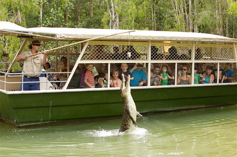 Hartley's Crocodile Adventure Half-Day Tour - Accommodation Rockhampton 0