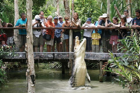 Hartley's Crocodile Adventure Half-Day Tour - Accommodation Rockhampton 1
