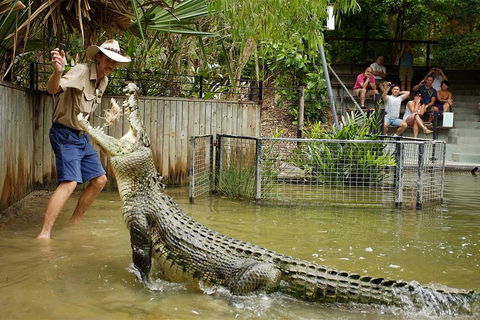 Hartley's Crocodile Adventure Half-Day Tour - Accommodation Rockhampton 2