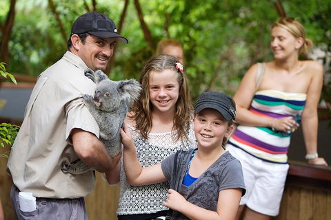 Hartley's Crocodile Adventure Half-Day Tour - Accommodation Rockhampton 3