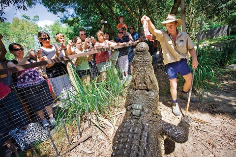 Hartley's Crocodile Adventure Half-Day Tour - Accommodation Rockhampton 4