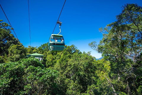 Skyrail Rainforest Cableway Day Trip From Cairns - Accommodation Rockhampton 1