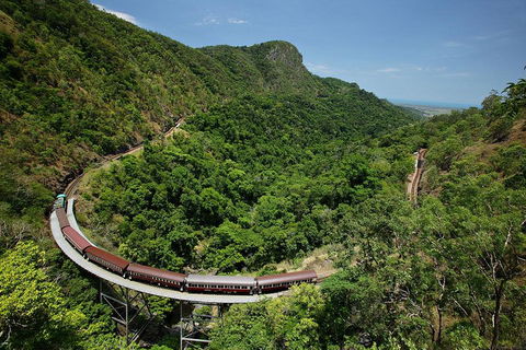 Skyrail Rainforest Cableway Day Trip From Cairns - Accommodation Rockhampton 5