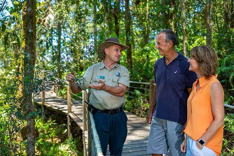 Kuranda Scenic Railway Day Trip From Cairns - Accommodation Rockhampton 1