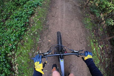 Explore Downhill Mountain In 3-Hour Bike Tour From Hobart - Accommodation Rockhampton 2