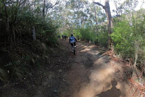 Explore Downhill Mountain In 3-Hour Bike Tour From Hobart - Accommodation Rockhampton 3