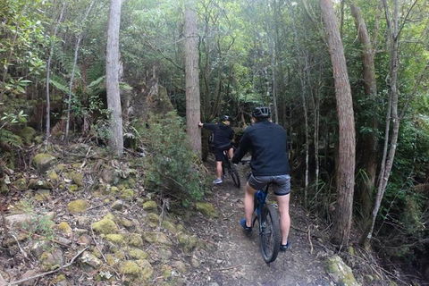 Explore Downhill Mountain In 3-Hour Bike Tour From Hobart - Accommodation Rockhampton 4