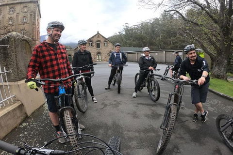 Explore Downhill Mountain In 3-Hour Bike Tour From Hobart - Accommodation Rockhampton 5