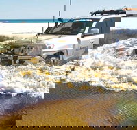 Full-Day Moreton Island 4x4 Sightseeing Tour