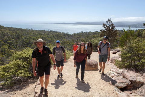 3-Day Tasmania Combo: Hobart To Launceston Active Tour - Accommodation Rockhampton 3