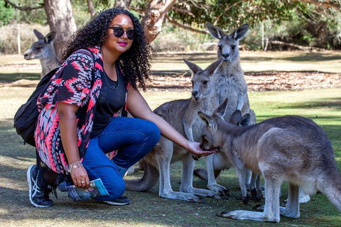 3-Day Tasmania Combo: Hobart To Launceston Active Tour - Accommodation Rockhampton 5
