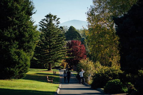 Private Royal Tasmanian Botanical Gardens Walking Tour - Accommodation Rockhampton 1