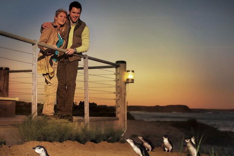 The Ultimate Melbourne Attractions Pass - Accommodation Rockhampton 3