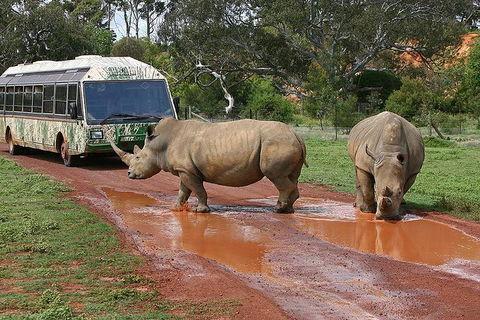 The Ultimate Melbourne Attractions Pass - Accommodation Rockhampton 4