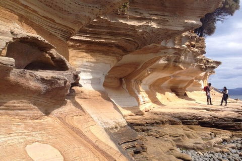 Hobart Minibus Full-Day Private Tour - Accommodation Rockhampton 0