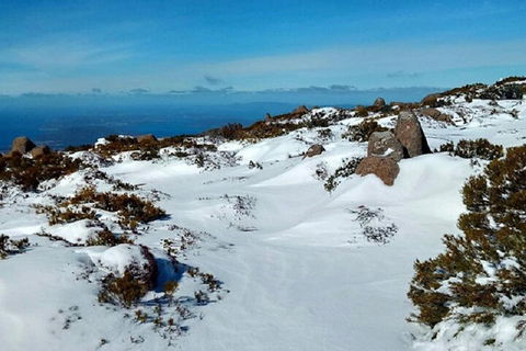 Mt Wellington Ultimate Experience Tour From Hobart - Accommodation Rockhampton 4