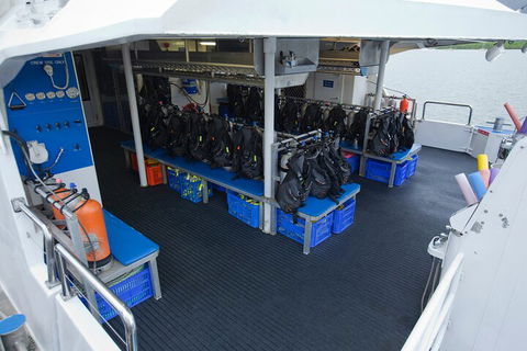 Silverswift Outer Great Barrier Reef Dive And Snorkel Cruise From Cairns - Accommodation Rockhampton 0