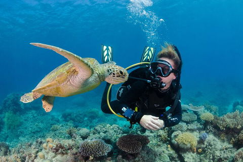 Silverswift Outer Great Barrier Reef Dive And Snorkel Cruise From Cairns - Accommodation Rockhampton 2