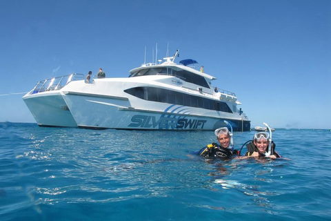 Silverswift Outer Great Barrier Reef Dive And Snorkel Cruise From Cairns - Accommodation Rockhampton 4