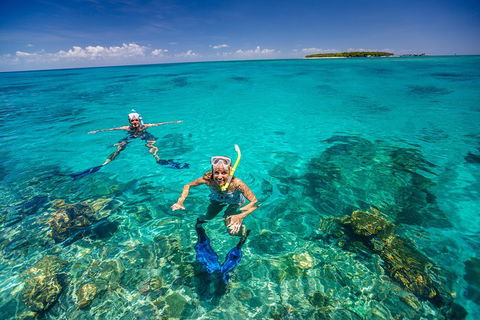 Green Island Discovery Including Glass Bottom Boat Tour Departing Cairns - Accommodation Rockhampton 2
