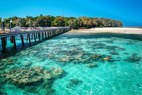 Green Island Discovery Including Glass Bottom Boat Tour Departing Cairns - Accommodation Rockhampton 4