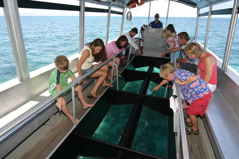 Green Island Discovery Including Glass Bottom Boat Tour Departing Cairns - Accommodation Rockhampton 5