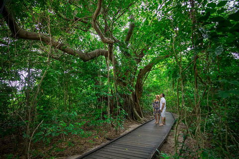Green Island Eco Adventure From Cairns - Accommodation Rockhampton 0