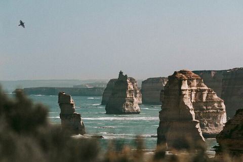 Half-Day Or Full-Day Tour With Private Guide From Melbourne - Accommodation Rockhampton 0