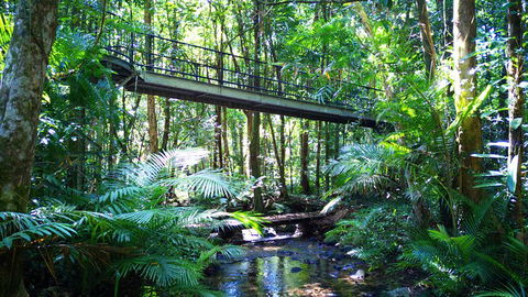 Double Pack-Ancient Rainforest And Waterfalls! - Accommodation Rockhampton 0