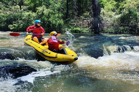 Yarra River Half-Day Rafting Experience - Accommodation Rockhampton 4