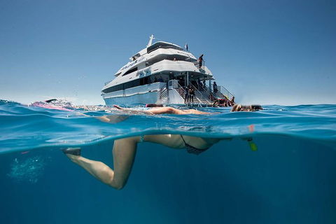 3 Day Great Barrier Reef, Daintree Rainforest And Outback Chillagoe Tour - Accommodation Rockhampton 0