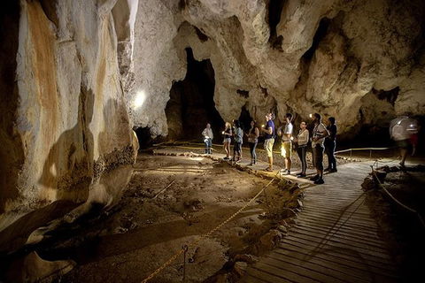 3 Day Great Barrier Reef, Daintree Rainforest And Outback Chillagoe Tour - Accommodation Rockhampton 1