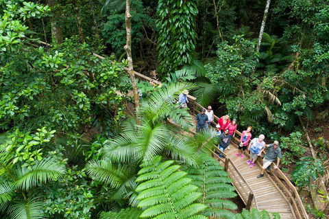 3 Day Great Barrier Reef, Daintree Rainforest And Outback Chillagoe Tour - Accommodation Rockhampton 2