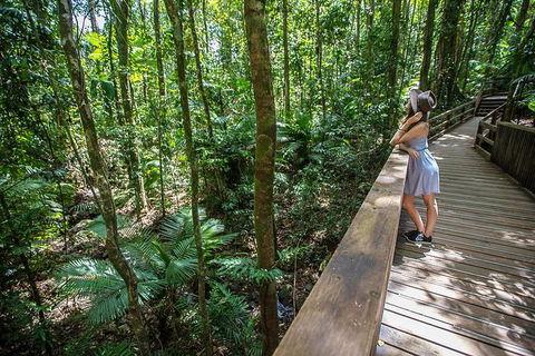 3 Day Great Barrier Reef, Daintree Rainforest And Outback Chillagoe Tour - Accommodation Rockhampton 3