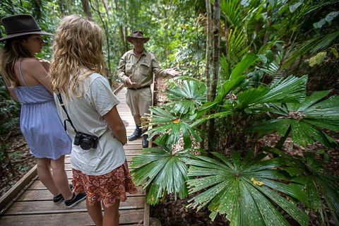 2 Day Daintree Rainforest, Cape Tribulation And Outback Chillagoe Tour - Accommodation Rockhampton 2