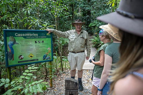 2 Day Daintree Rainforest, Cape Tribulation And Outback Chillagoe Tour - Accommodation Rockhampton 5