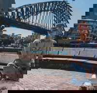 Sydney Private Tours by Locals 100 Personalized See the City Unscripted - Accommodation Rockhampton