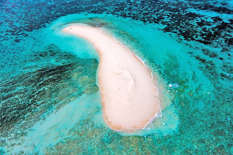 Private Coral Cay Bubbles Tour - Accommodation Rockhampton 3