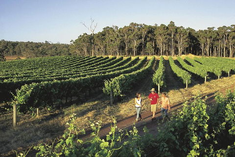 Margaret River, Caves, Wine And Cape Leeuwin Lighthouse Tour From Perth - Accommodation Rockhampton 1