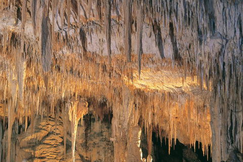 Margaret River, Caves, Wine And Cape Leeuwin Lighthouse Tour From Perth - Accommodation Rockhampton 3