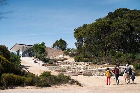 2-Hour Koala Walking Tour In Kangaroo Island - Accommodation Rockhampton 3