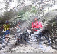 2 Hour Bike Tour in Kangaroo Island - Accommodation Rockhampton