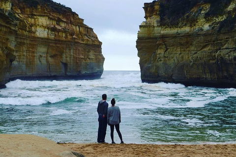 Great Ocean Road Small-Group Ecotour From Melbourne - Accommodation Rockhampton 1