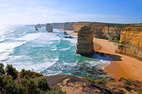 Great Ocean Road Small-Group Ecotour From Melbourne - Accommodation Rockhampton 2