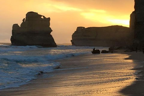 Great Ocean Road Small-Group Ecotour From Melbourne - Accommodation Rockhampton 5