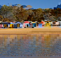 Mornington Peninsula Small Group day tour - Accommodation Rockhampton